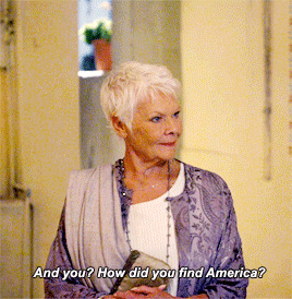 dontbesodroopy:  Muriel Donnelly’s TripAdvisor review of America.