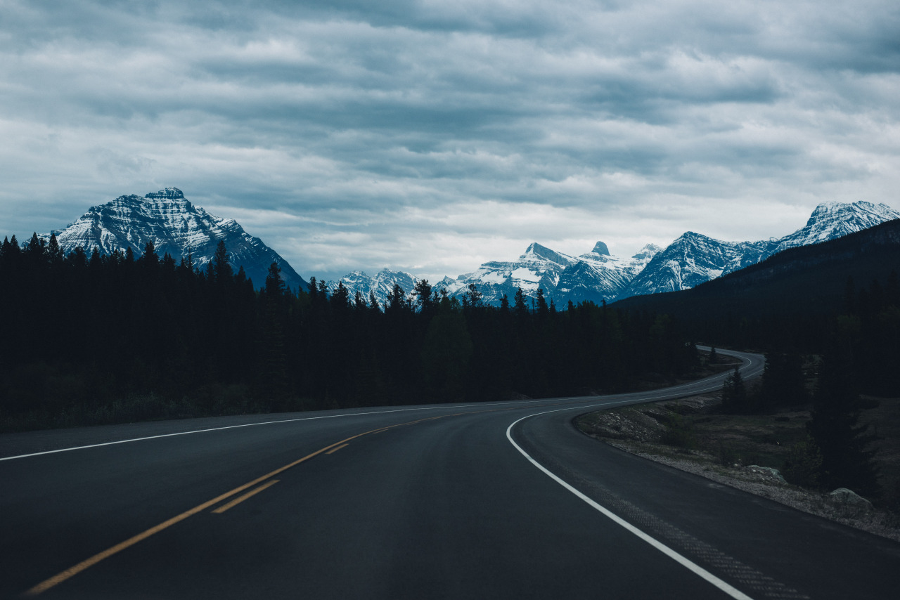 teapalm:  (Tasha Marie) | Icefields Parkwaywebsite | instagram 