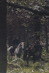 avorpalsword-deactivated2021022:          ☄ Game of Thrones Episodes: S03E04