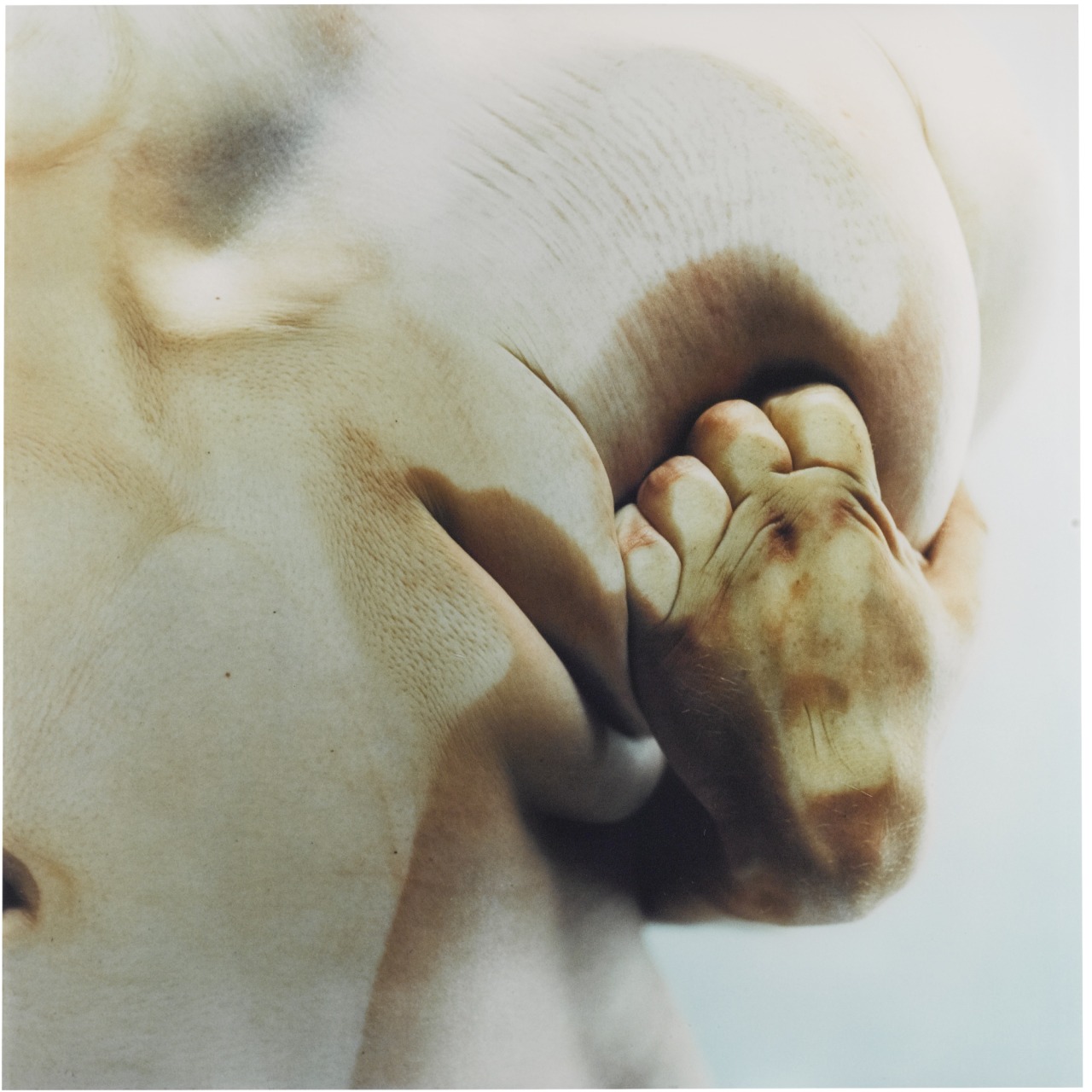 blastedheath:  Jenny Saville (British, b. 1970), Closed Contact #5, 1995-97. Cibachrome