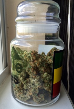 viviidvibes:  a full jar = a happy stoner