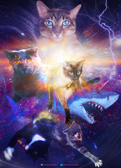 Cosmic Discord Cats Uh… yeah. I was bored on Discord and asked for a bunch of photos to photoshop, a