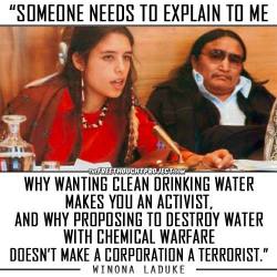 kingofcyberspace:  winona laduke