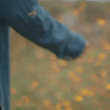 I Can See That Our Relationship Is Fading. An Empty Relationship Like The Autumn Sky. An Ambiguous Difference