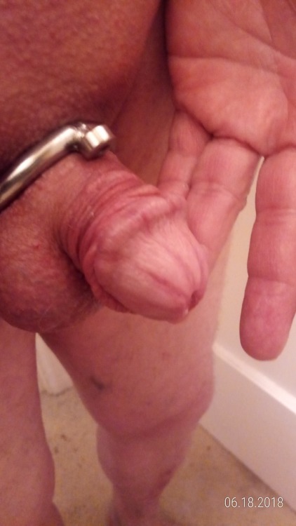 cagedcockpdx:Too tired on Sunday, so clean and shave on Monday. The three weeks of no release has really helped the Caged Tattoo. The indentation has become deep and pronounced. Even without the cage on, there would be no hiding I’m in steel chastity.