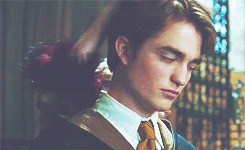 morsmordre-x:  harry potter meme: nine characters [4/9] » Cedric Diggory ↳