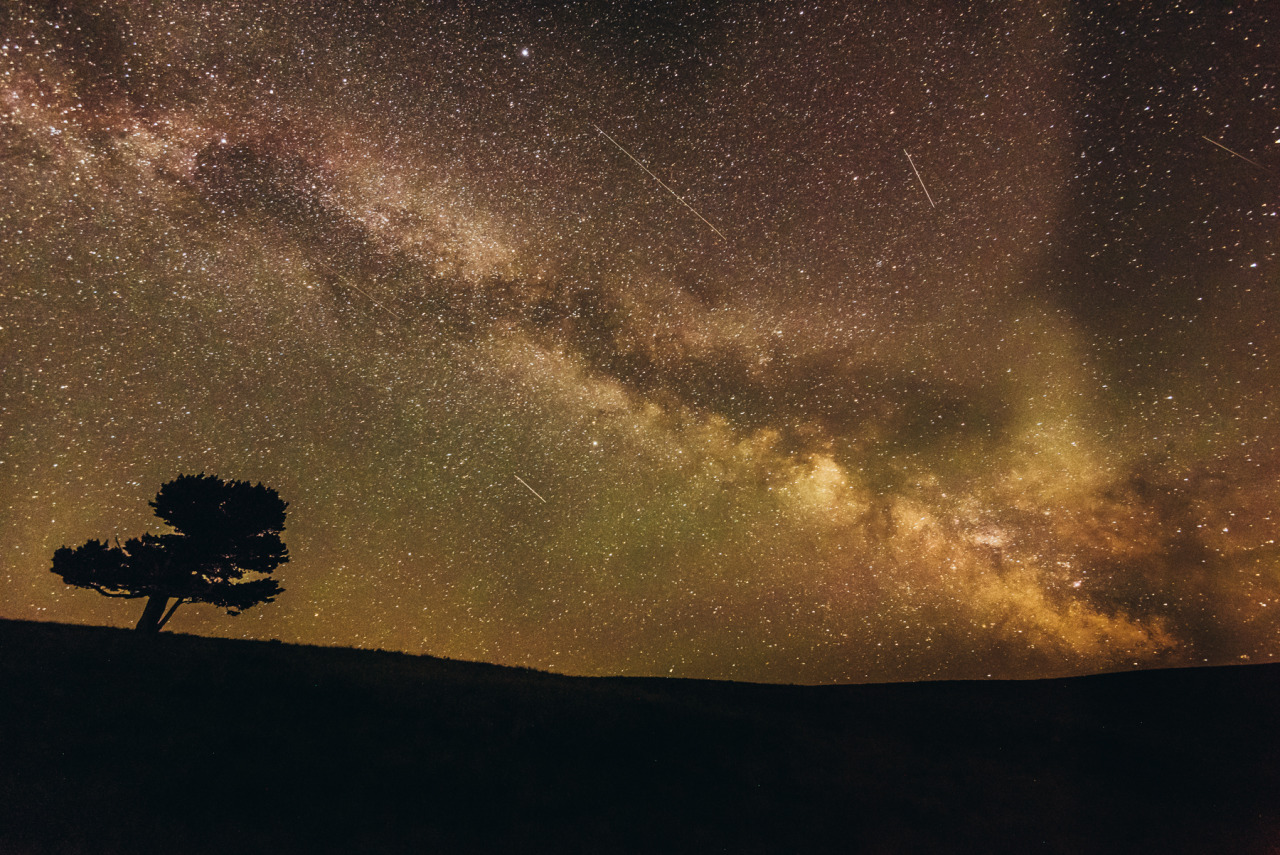 midwinterphoto:   2016 Milky Joe Galaxy 