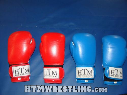 Just some HTM boxing gloves.