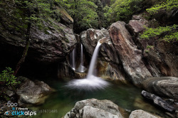 random-photos-x:  Green Liguria by vivaldafabio. (http://ift.tt/1clpRxg)