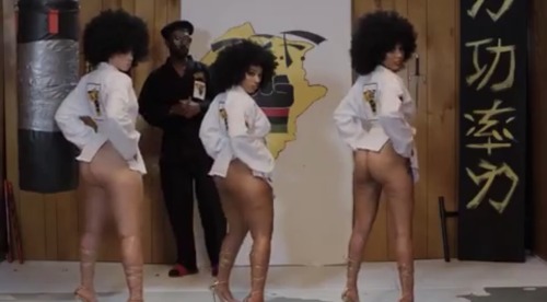Megan Thee Stallion X Hype Williams "FEVER"