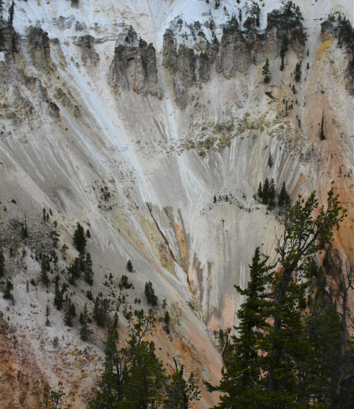 . Yellowstone . 10 .