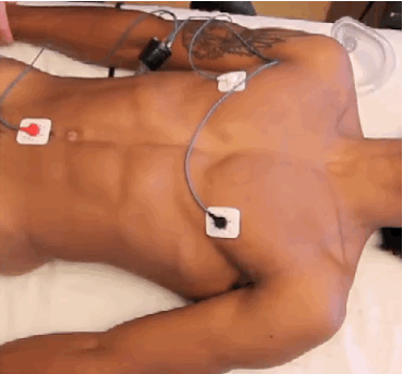 bound-indulgence:  freakshow4fun:  Electro pig.  Been there done that…..sub and