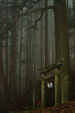 miizukizu:Shinto torii gate in the Japanese