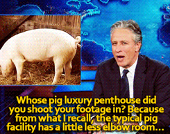 fuckyeah-nerdery:  jordanrock:  goatbagxvx:  He just. He went there.  BOOM  Bacon