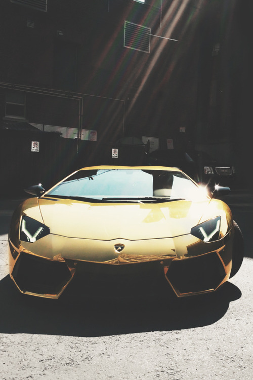 envyavenue:  24k Gold | Instagram