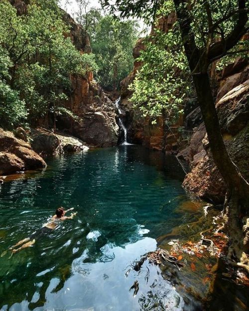 oceaniatropics:  Moline Rockhole, Kakadu National Park, NT, Australia, by powershala