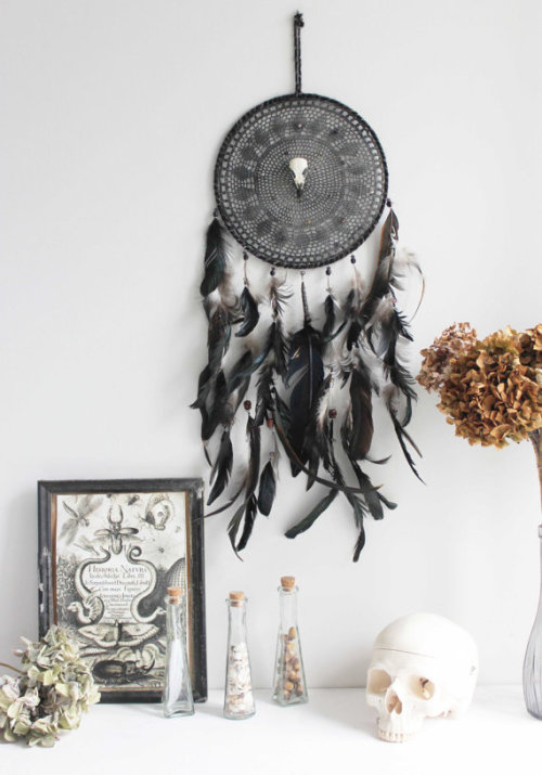 etsycult:Salem . black dreamcatcher with real bird skull by BoudoirDuChaman