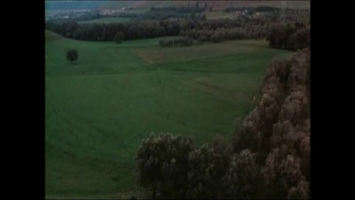 348. (339) THROUGH THE OLIVE TREES (Abbas Kiarostami, 1994,...