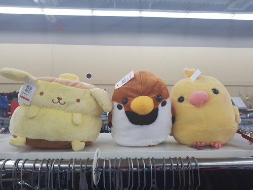 Looks like someone donated some of there Japanese plushie collection. I wanted to take them all home