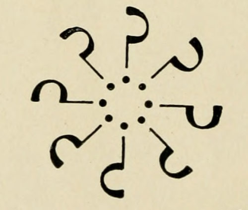 nemfrog:Wheel of question marks. 1897. Source. 