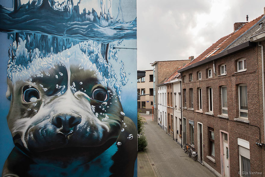muynais:  Bart Smeets