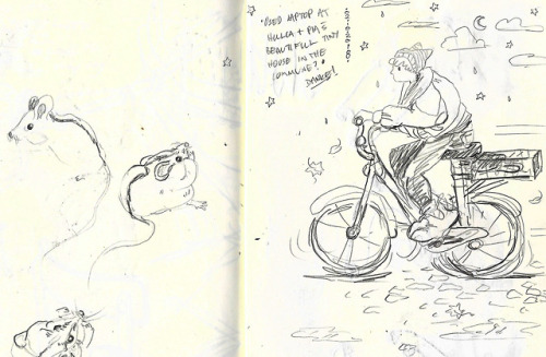 Travel sketchesMoroccoNight time bike ride in Berlin and garden miceMoving mud bricks in the Sahara