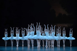 strechanadi:  Paris opera ballet Le lac des cygnes photo: Benoite Fanton 
