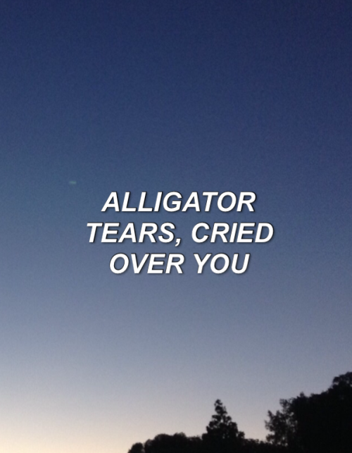 dailysapphiclyrics: Tegan and Sara- Alligator