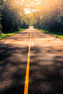 mystic-revelations:  Just driving along… (by kshA!) 