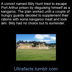 Ultrafacts:    George ‘Billy’ Hunt, Tried To Flee Across The Neck Disguised In