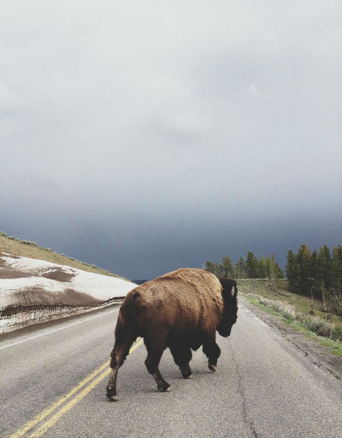 vira-sana: fer1972: Landscape Photography by Kevin Russ (Artist on tumblr) OH MY GOD THATS THE AFTER
