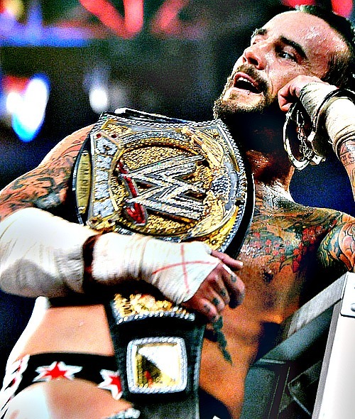 CM PUNK WWE CHAMPION!