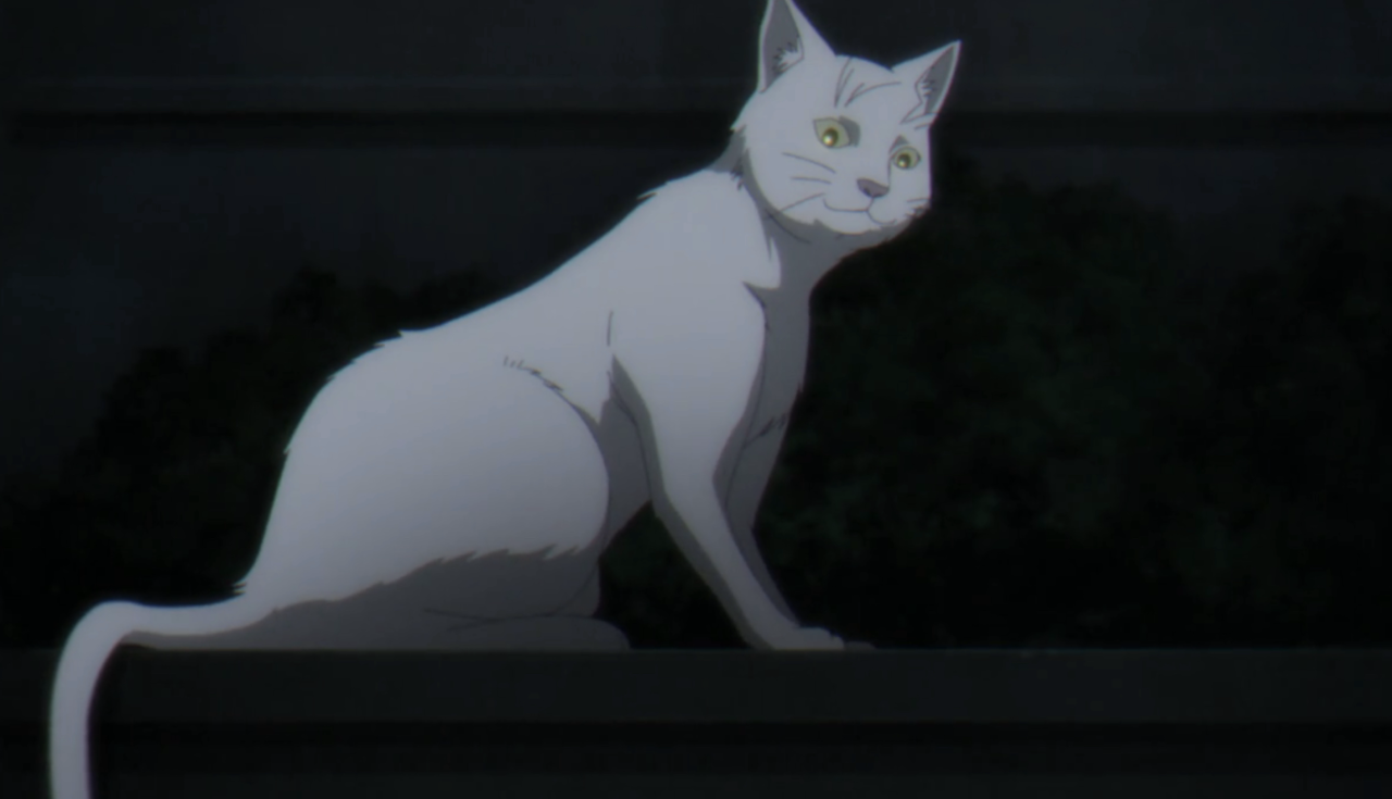 Kenny A White Cat Who Is Akanes Familiar  Flying Witch Anime Cat HD Png  Download  589x595763332  PngFind