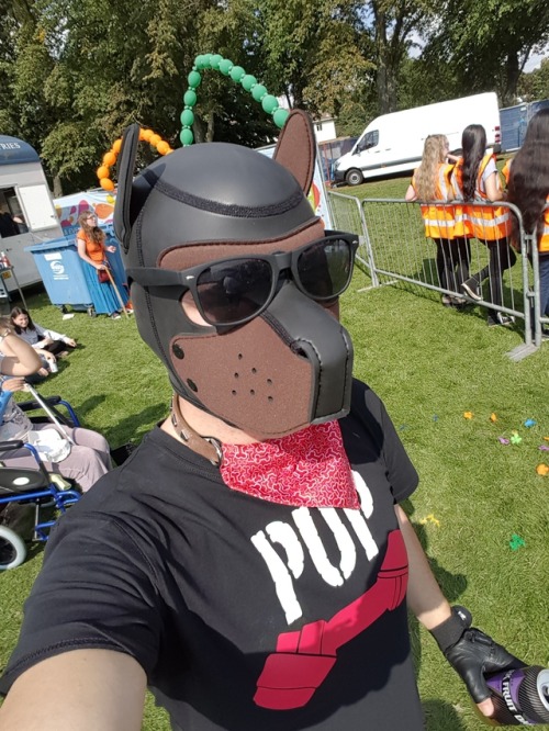 Pup Oskar at Leicester pride