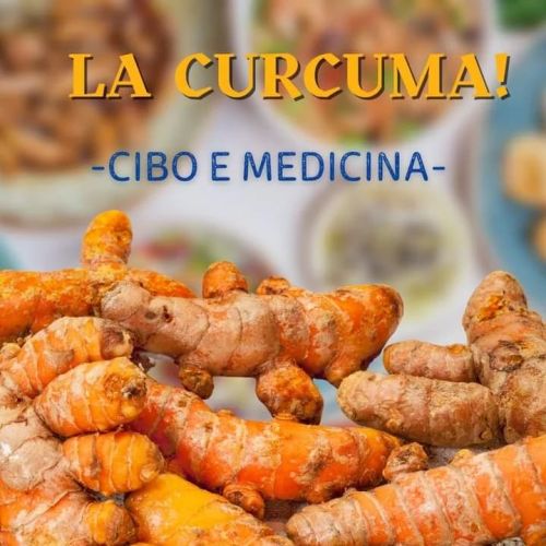 🤒 Per affrontare la stagione invernale alle porte è importante essere al massimo della forma, e la Curcuma fresca è un vero e proprio “Superfood” che può mantenerti in salute e proteggerti dal cambio di stagione
🌟 I benefici che ha sul corpo sono...