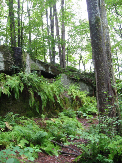 Jake&rsquo;s Rocks &ndash; Allegheny National Forest, PA by Lisa Meadville