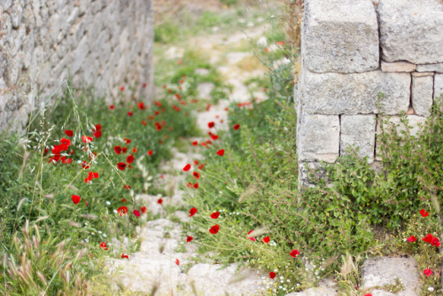 Akrokorinthos