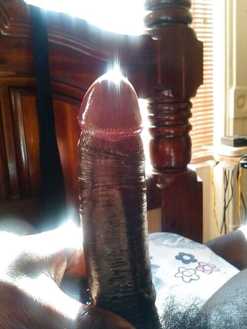 blackbearlove:  latinflavor69:  iloveblackdic:  Would love having these hot dicks