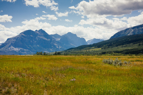 West Glacier, Montana.