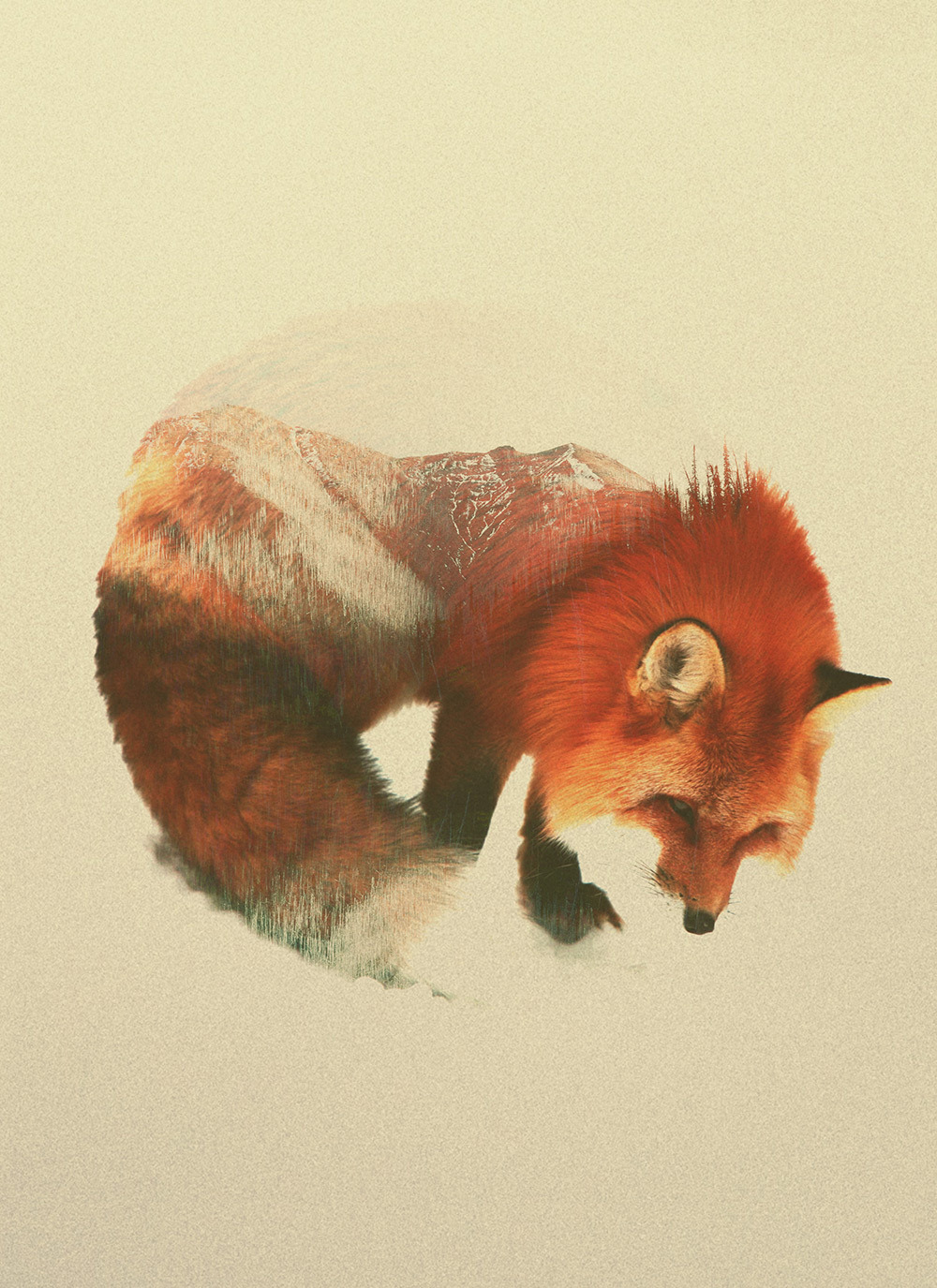 foxmouth:  Double Exposures, 2014 | by Andreas Lie 