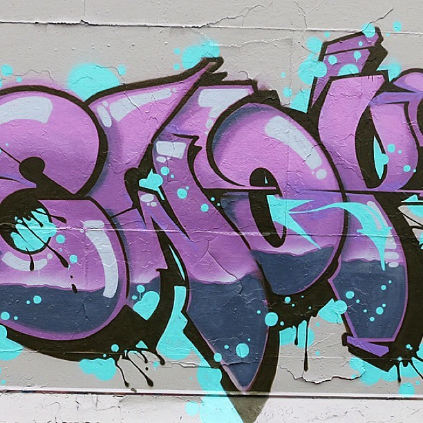 skush-uk:  Ewok 