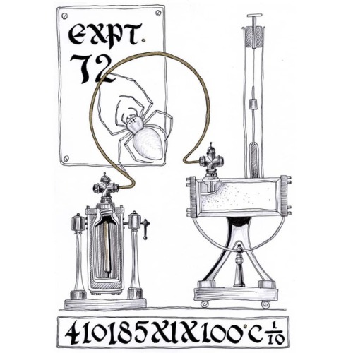 Expt.72 410185XIX100.C1/10 Drawing, ink and pencil on card. . #fineart #contemporaryart #spiderart #