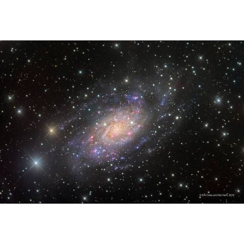 Porn photo NGC 2403 in Camelopardalis #nasa #apod #ngc2403