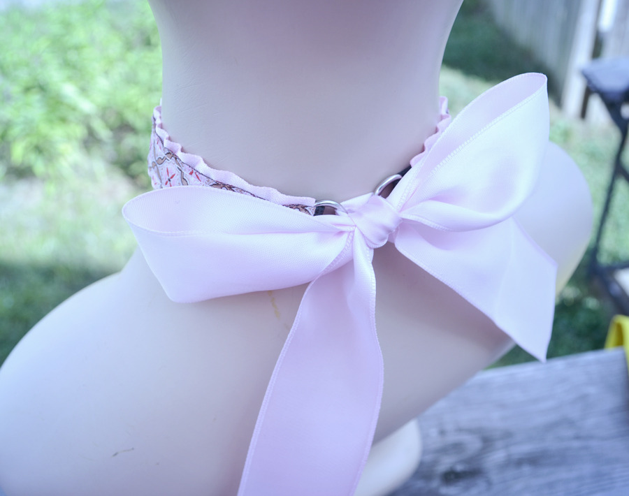 kittensightings:  Better pictures of the new collar style. Yes, bigger bows now.