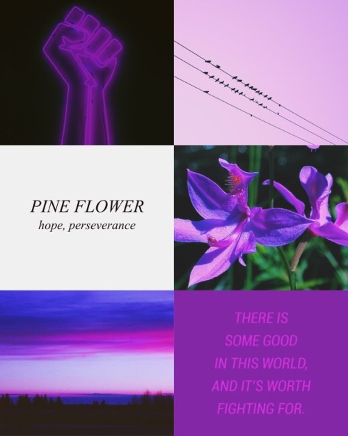 violet baudelaire + victorian flower language [1/?]