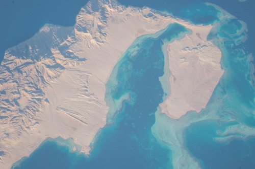 Tiran Island, Egypt, as photographed from the ISS.Photo credit: NASA