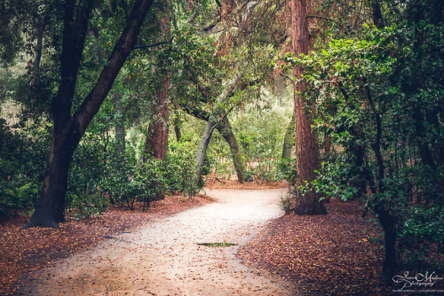 Nature’s Path | Descanso Gardens Series | La Cañada Flintridge, CAInstagram