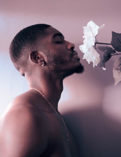 nova-rose-greene - Nova Rose
