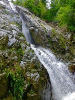 letsgoforahike:  Let’s Go For A Hike