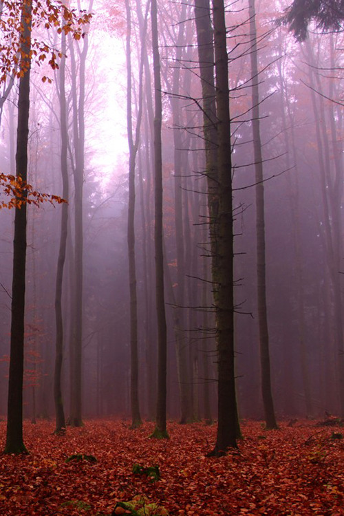 etherealvistas:  Untitled (Czech Republic) by Inka Kantnerová